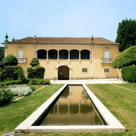 Casa Da Caneleira Camelias De Basto *