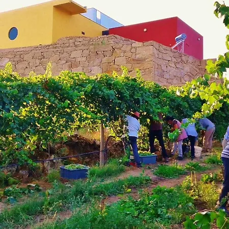 Casa Da Caneleira Camelias De Basto Country house