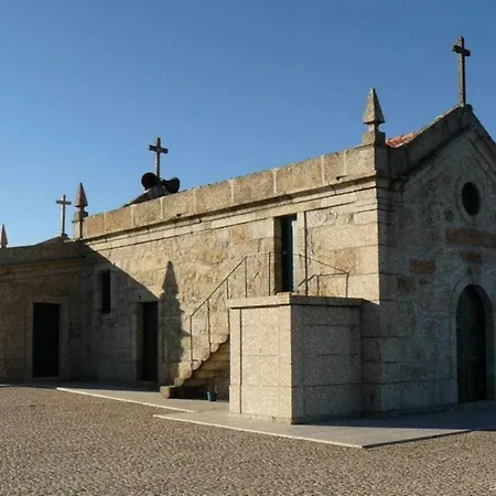 Casa Da Caneleira Camelias De Basto * Codecoso