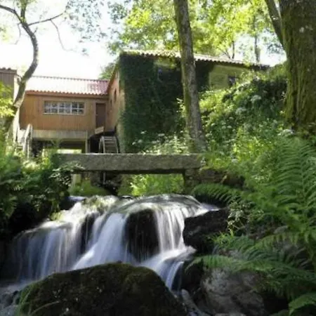 Casa Da Caneleira Camelias De Basto Country house Codecoso