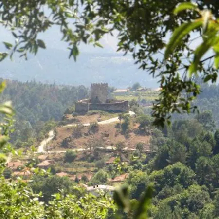 Casa Da Caneleira Camelias De Basto Codecoso