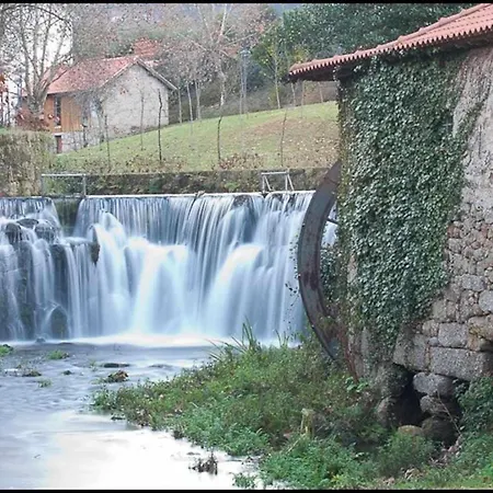 Casa Da Caneleira Camelias De Basto Country house *
