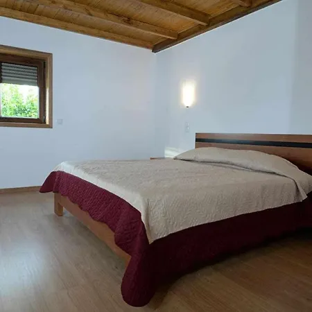 Casa Da Caneleira Camelias De Basto Codecoso