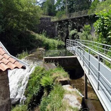 Casa Da Caneleira Camelias De Basto Country house *